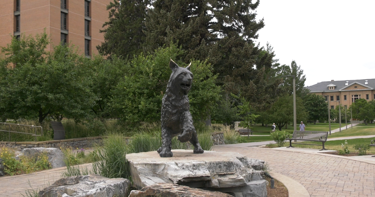MSU s Incoming Freshman Class Is Second Largest In The School s History msu-s-incoming-freshman-class-is-second-largest-in-the-school-s-history